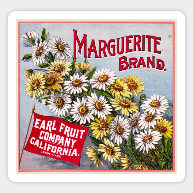 Marguerite Brand Crate label, circa 1890 - 1906 Sticker by WAITE-SMITH VINTAGE ART